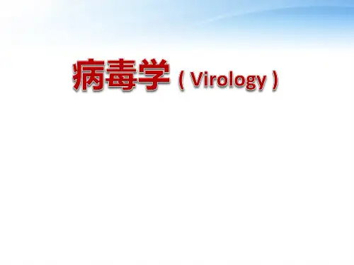 医学微生物学：病毒的基本性状