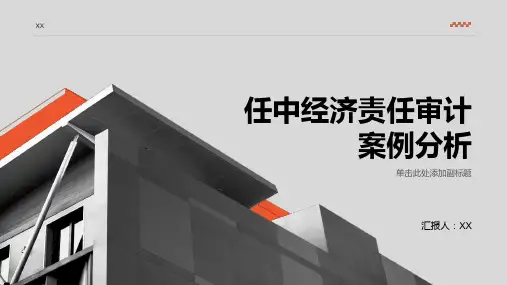 任中经济责任审计案例分析