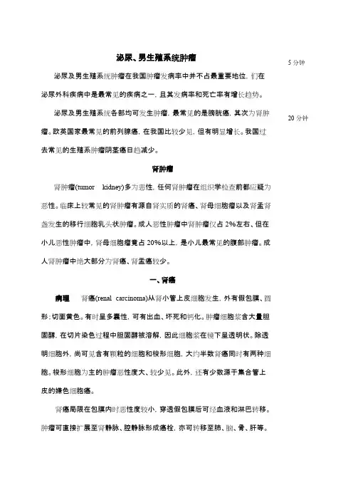 教案 泌尿系肿瘤