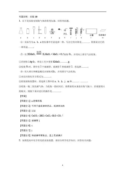 九年级化学中考复习：专题训练：实验题18