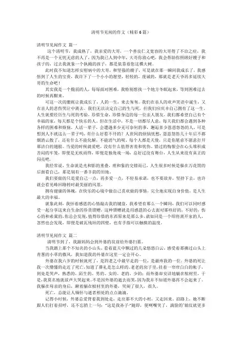 清明节见闻的作文(精彩6篇)