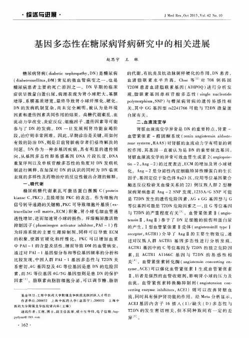 基因多态性在糖尿病肾病研究中的相关进展