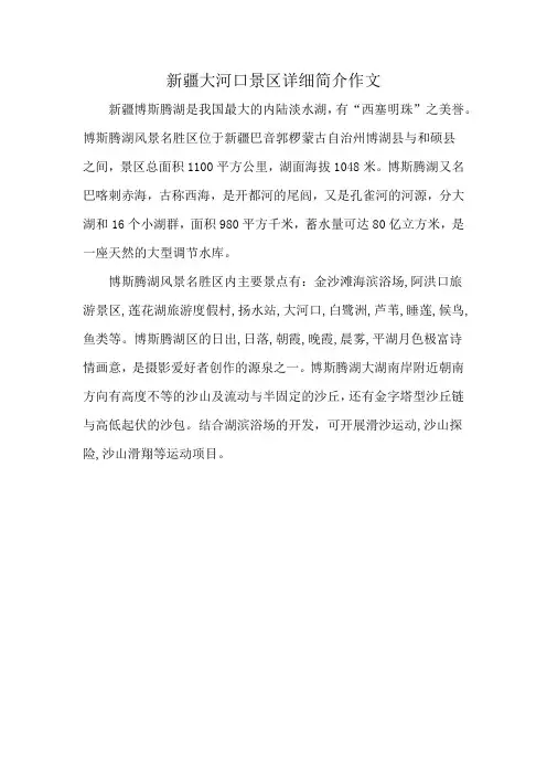 新疆大河口景区详细简介作文