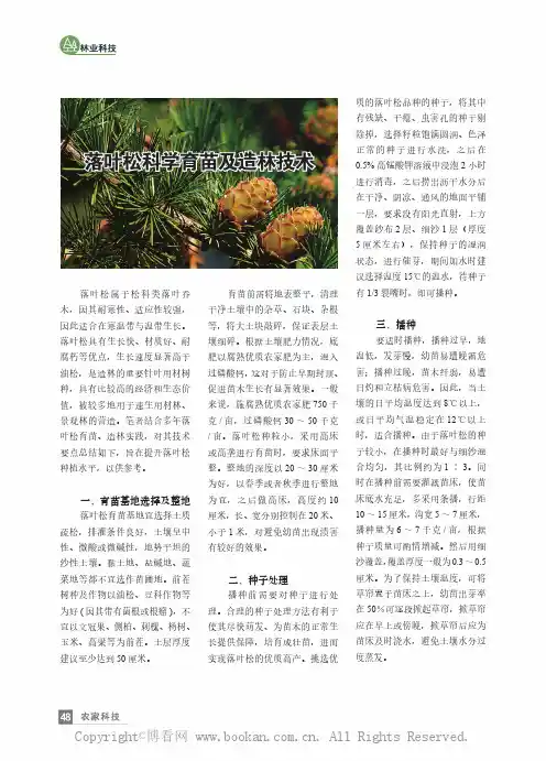 落叶松科学育苗及造林技术