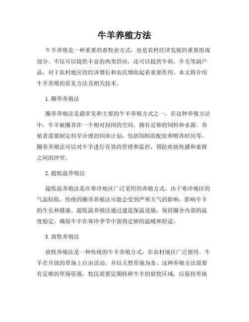 牛羊养殖方法