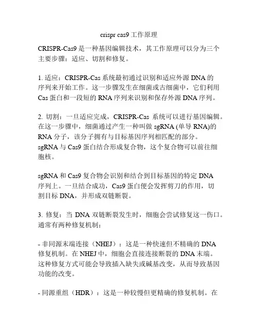 crispr cas9工作原理