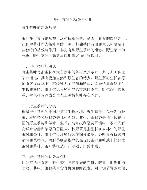 野生茶叶的功效与作用