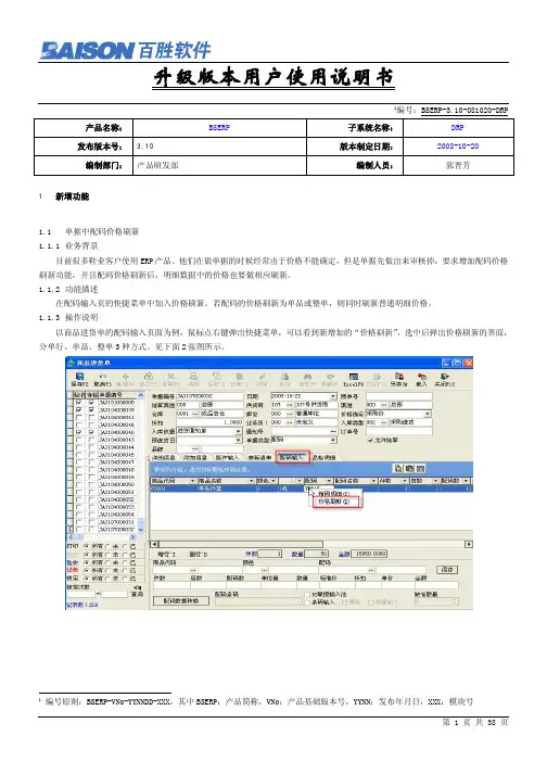 百胜软件 BSERP BSERP-3.10-081020-DRP 用户说明书