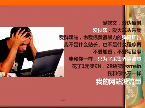 关键词的运用技巧  ppt课件