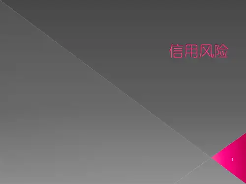 信用风险典型案例ppt课件