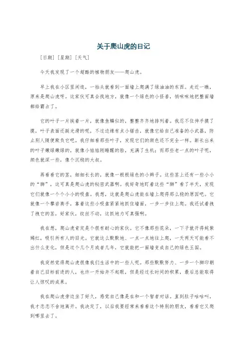 关于爬山虎的日记