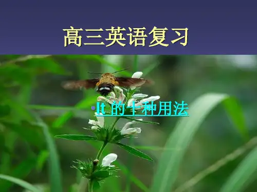 it的十种用法