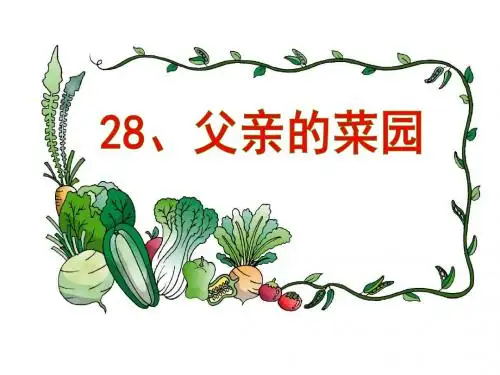 四下 28、《父亲的菜园》课件ppt