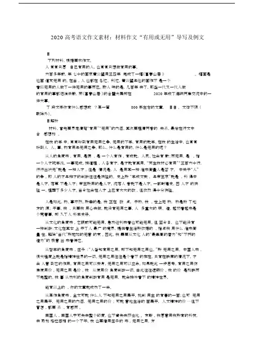 2020高考语文材料作文“有用或无用”导写及例文素材.docx