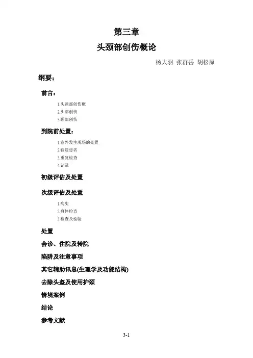 头颈部创伤概论-