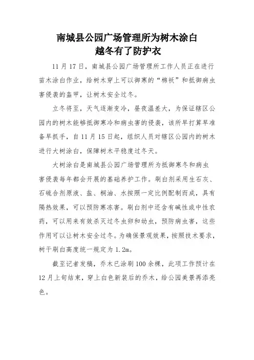 公园所为树木涂白