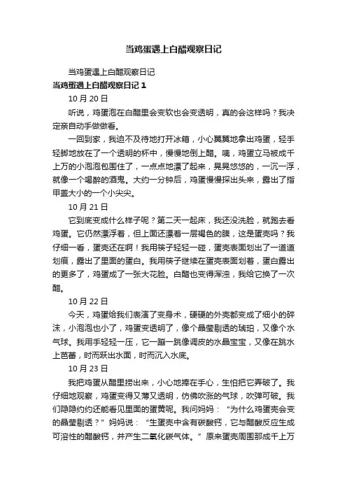 当鸡蛋遇上白醋观察日记