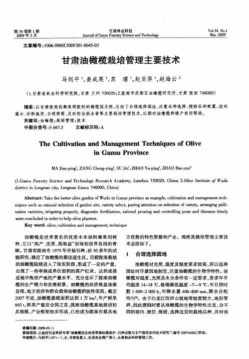 甘肃油橄榄栽培管理主要技术