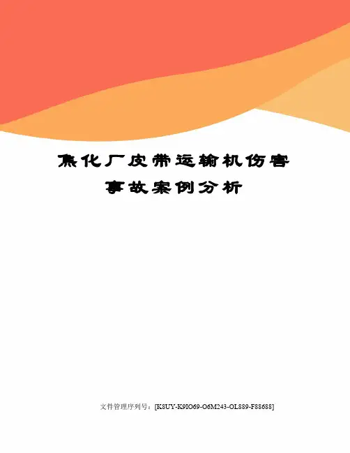 焦化厂皮带运输机伤害事故案例分析