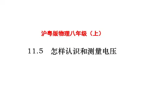 13.5怎样认识和测量电压  课件(共15张PPT)
