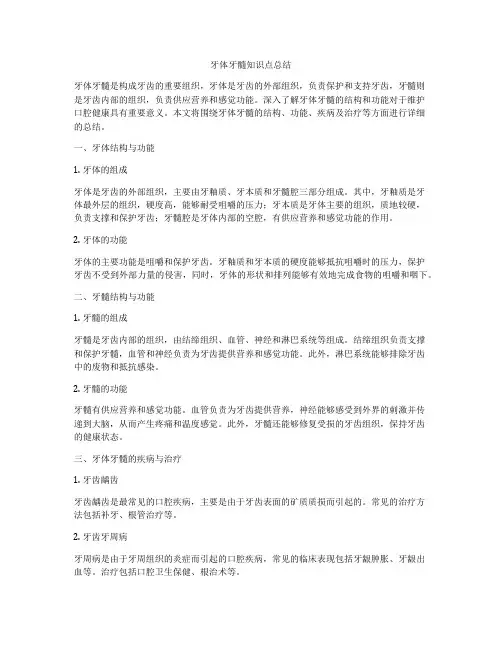 牙体牙髓知识点总结