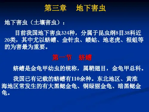 3章_地下害虫.ppt