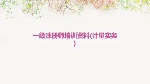 一级注册师培训资料(计量实务)