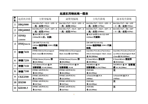 起重机用钢丝绳一缆表