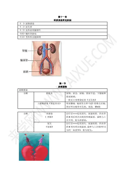2022执业西药师教材精讲班：综合知识与技能11-第十一章-泌尿系统常见疾病