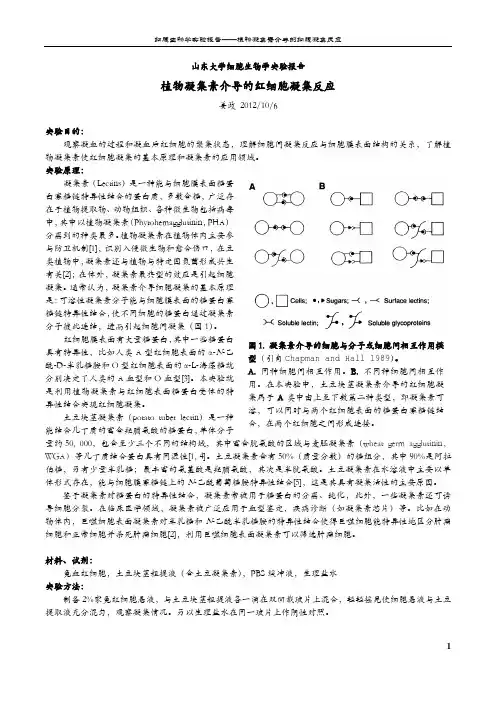 细胞生物学实验报告——凝血
