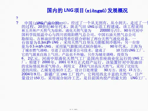 LNG行业发展概况及