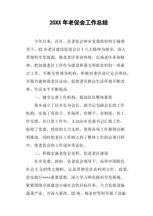 20XX年老促会工作总结