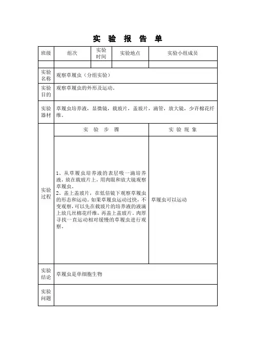 观察草履虫实验报告单