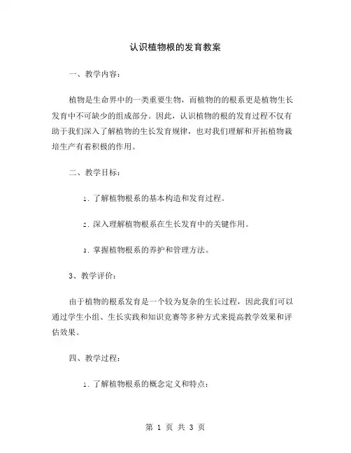 认识植物根的发育教案