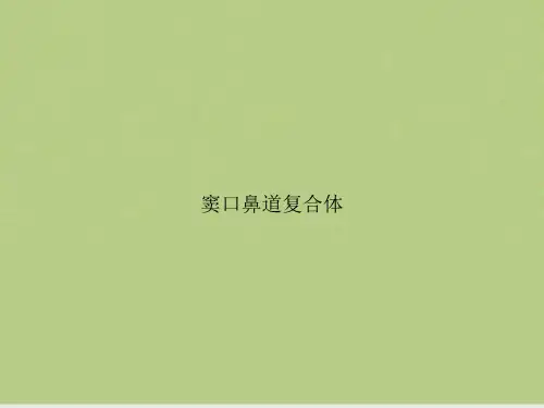 窦口鼻道复合体