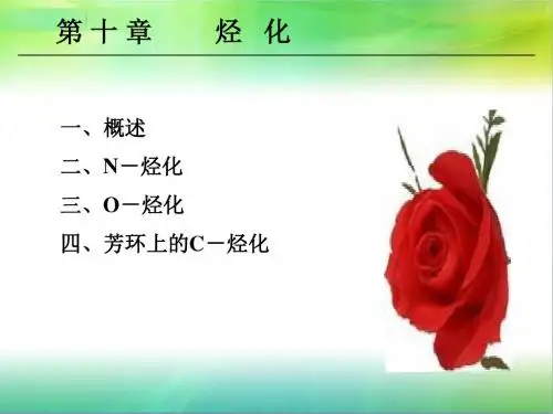 10章-精细有机合成与工艺