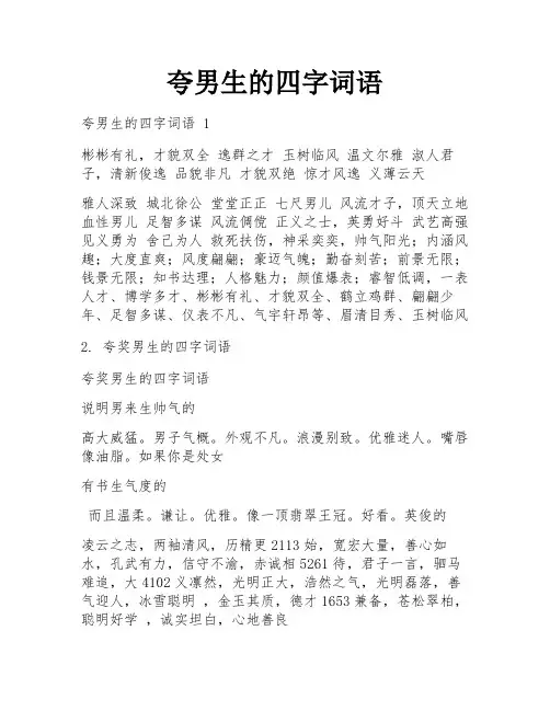 夸男生的四字词语