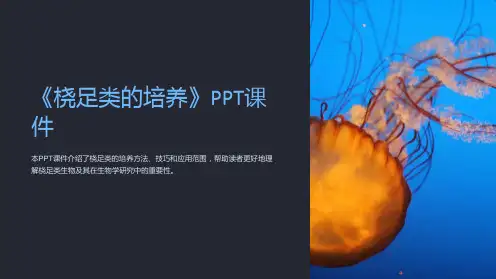 《桡足类的培养》课件