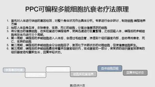ppc细胞疗法美容