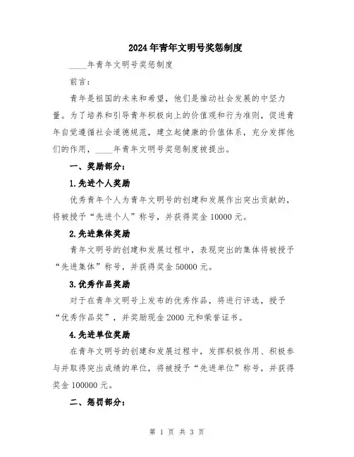 2024年青年文明号奖惩制度