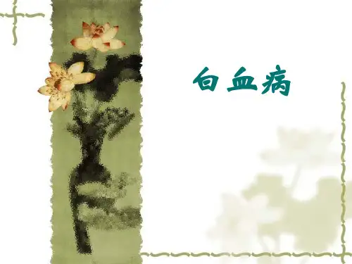 白血病病人的护理ppt课件