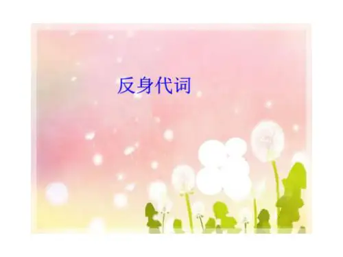反身代词使用语法教案