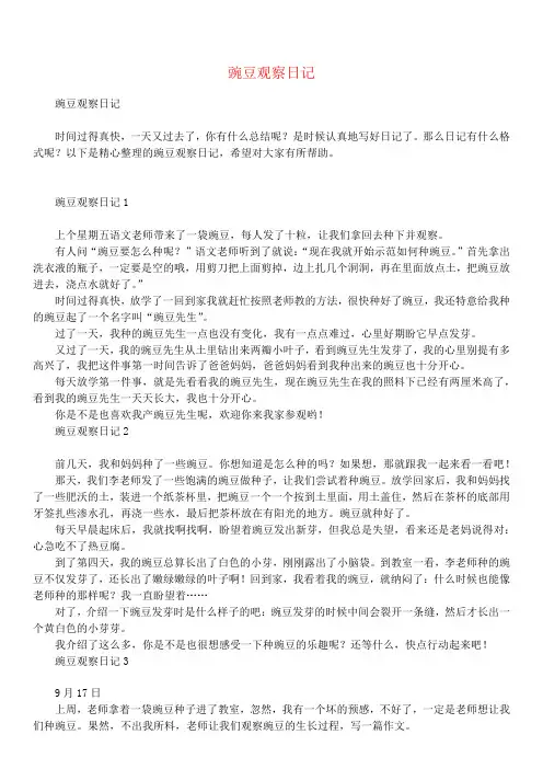 豌豆观察日记
