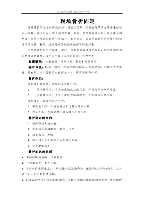 骨折固定