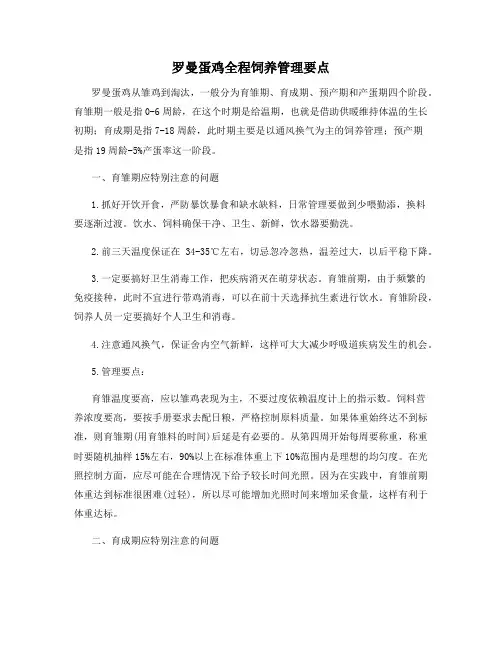 罗曼蛋鸡全程饲养管理要点