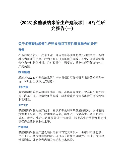 (2023)多壁碳纳米管生产建设项目可行性研究报告(一)