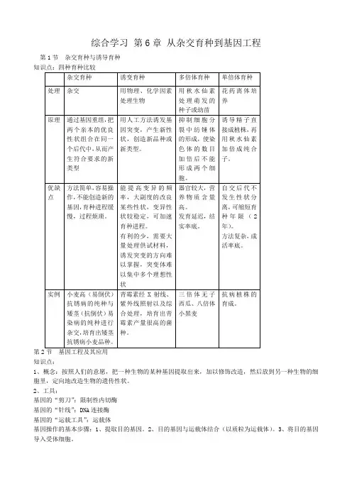 高中生物综合学习 第6章 从杂交育种到基因工程 新课标 人教版 必修2