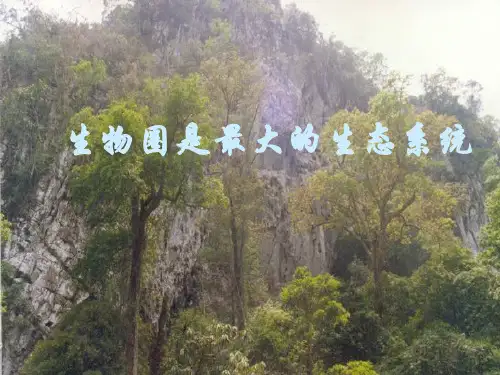 生物第一单元第二章第三节生物圈是最大的生态系统ppt课件人教版七年级上
