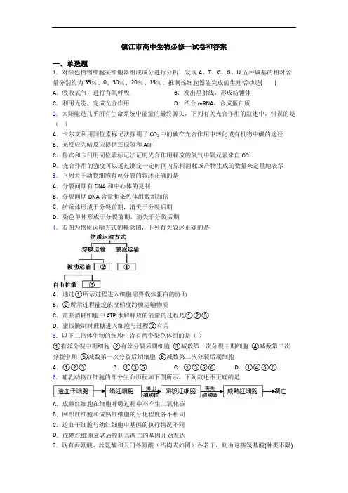 镇江市高中生物必修一试卷和答案