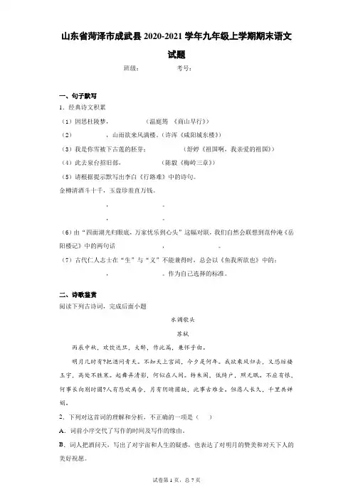 山东省菏泽市成武县2020-2021学年九年级上学期期末语文试题(word版含答案)
